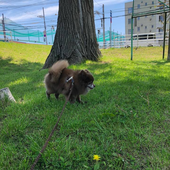 F2f6af33 b6d5 4b65 a27e 6ac725bf7c0f 1590957679407