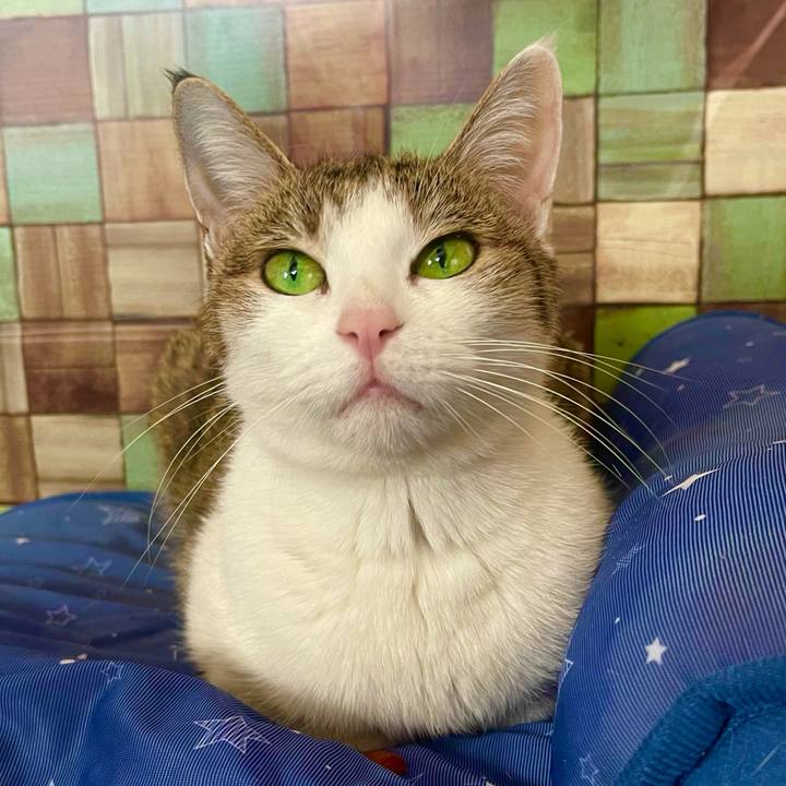 F2f6c511 a481 4387 ab9d 52e692e3c3dd 1638159964443