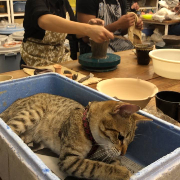 F2f6dd3b 42be 45a0 aa86 7aac521ea14e 1580012885852