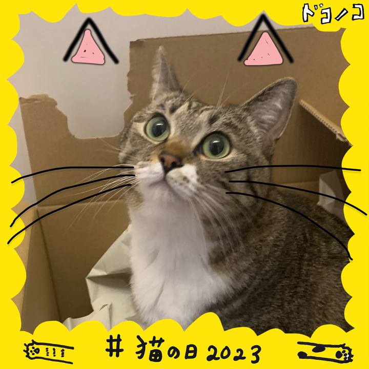 F2f6f989 3a9c 4f5d 8509 7df5997e9eed 1677071164545