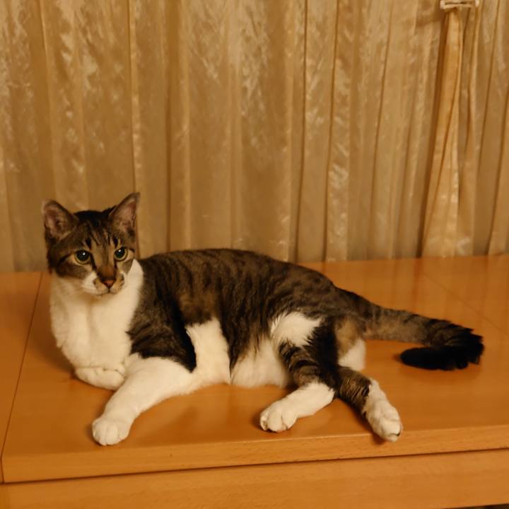 F2f70f9c 6c8e 44b4 ae46 91fcf592cb0d 1725965811351