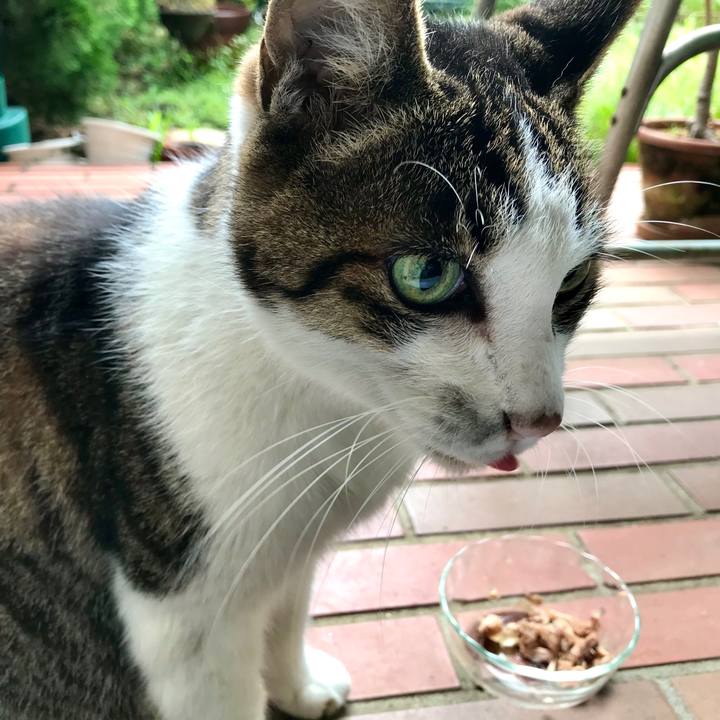 F2f72200 a1f4 406a 9131 bafdfd1aaa8c 1572741876026