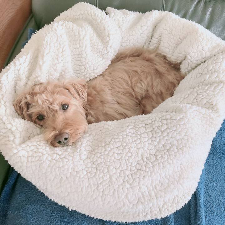 F2f772d7 34f3 4ebe 82ea b4d8da8acfdd 1614732848668