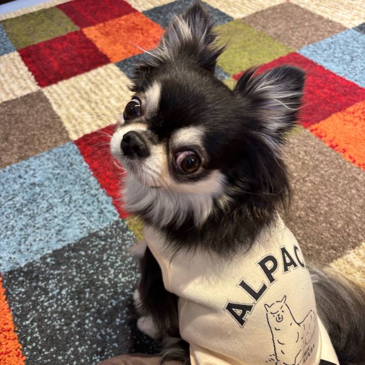 F2f7a77a fedc 4545 a793 ccef02aabbcb 1763919258383