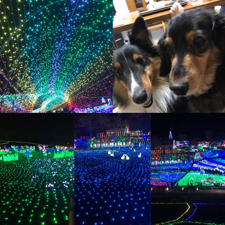 F2f7e71f 1272 4fd3 9d9d 6142053fc286 1545516474477