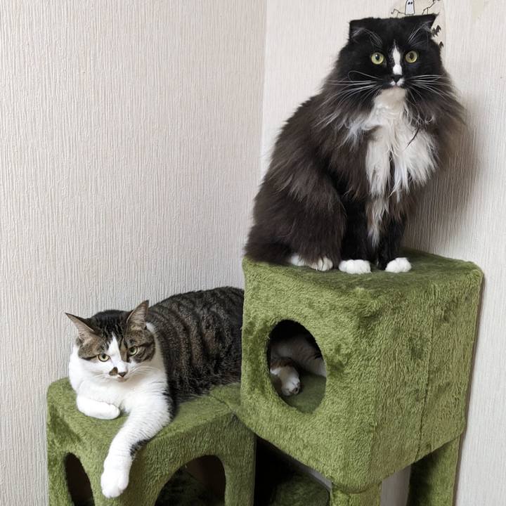 F2f7f424 c94b 41e5 9e90 1f971bbcfd73 1692536504590