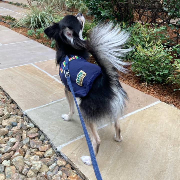 F2f80d39 1b65 448e ae0a 77092c7f5185 1637463063877