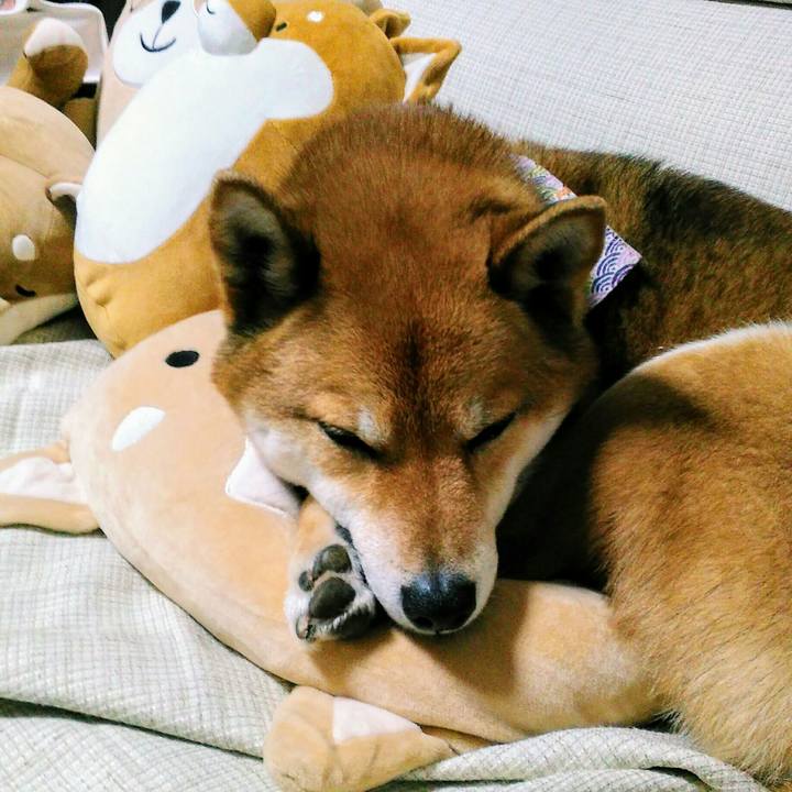 F2f80dd5 79d8 412a b61b 6047f92193ae 1522055615878