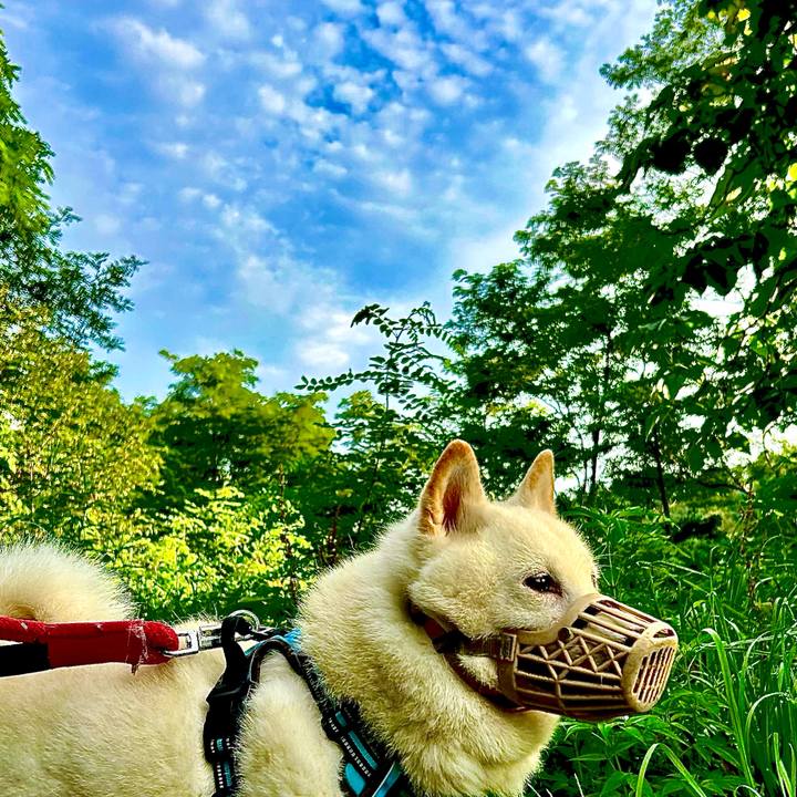 F2f8163c 53dc 4cd9 a363 39e9d310d344 1754254703558