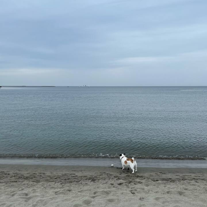 F2f837c6 6faa 4257 a7a4 30a65407efea 1617492797127