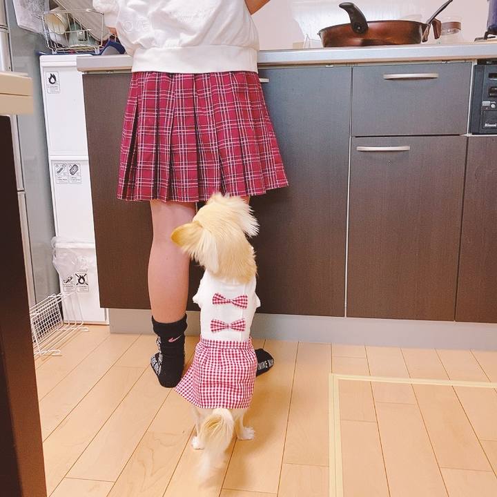 F2f873a1 dd13 451e 9a62 c3043bcc72a7 1615693604018