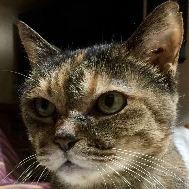 F2f87d9e 72df 4452 beb0 98fc41cc3c97 1641556689545