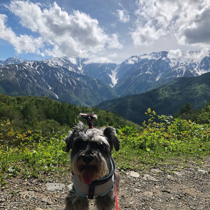 F2f88459 213b 4cd6 b41c 8ebf31bcd32f 1622950633656