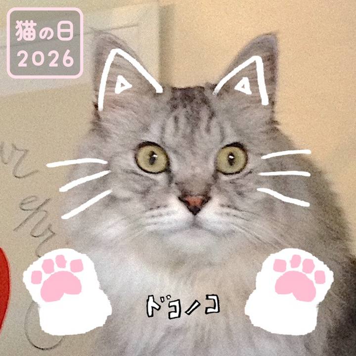 F2f911f9 dc71 4991 98c3 1082f829612a 1771759201850