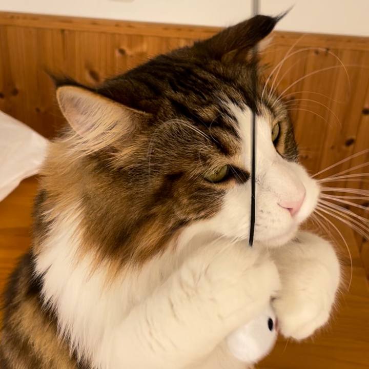 F2f926bb 3b0e 4ac9 a50c b3ff74118bec 1664669466909