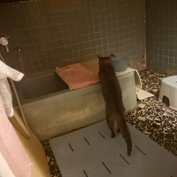 F2f94319 b413 40c1 8e88 0ca0e10b7532 1579598163692