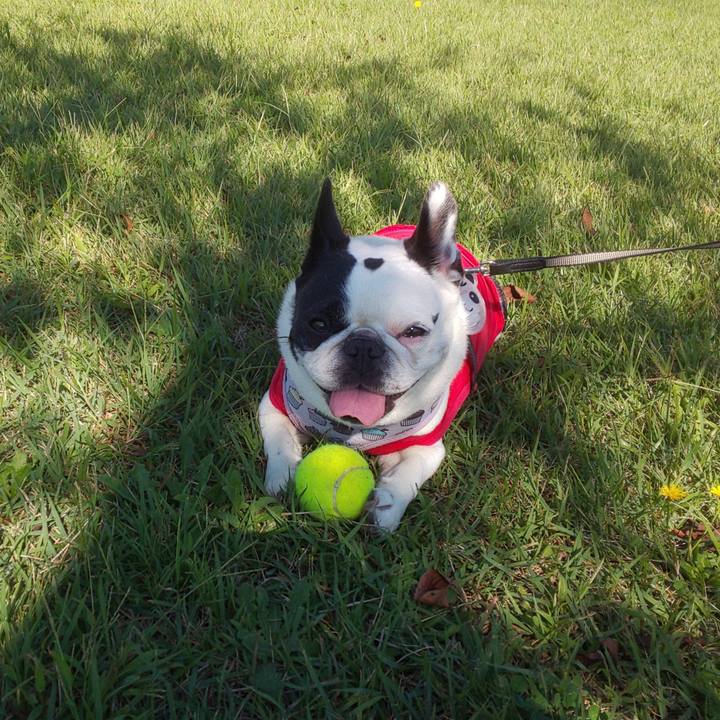 F2f98593 c8c7 4929 a358 e23cf2d6a30f 1633691621783