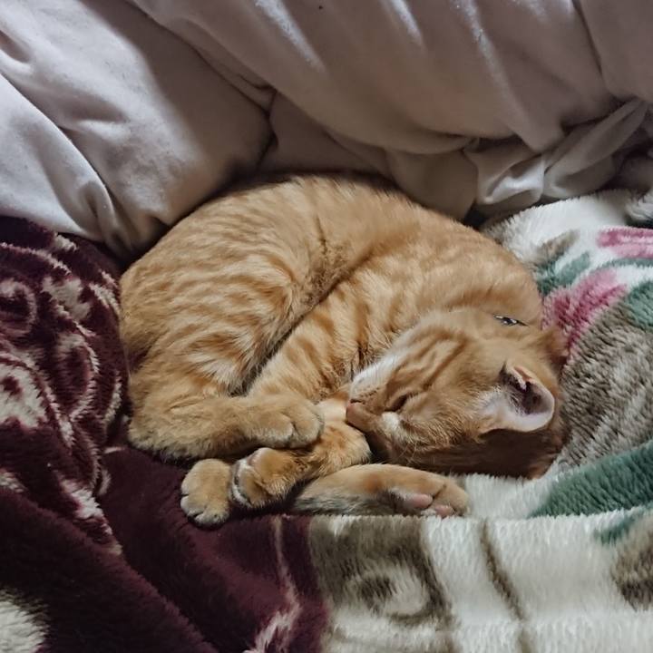 F2f98aaa ad2a 445f b94d f652e3d4fee7 1636027654598