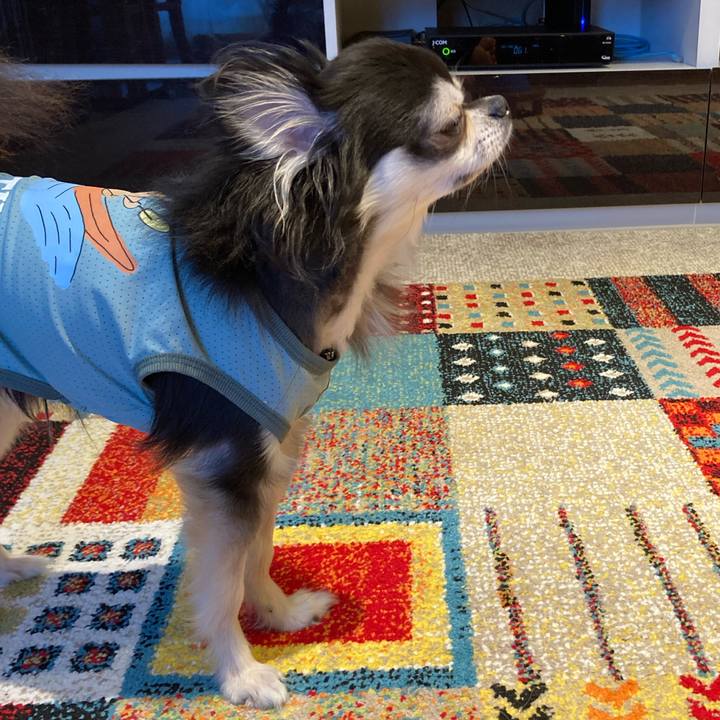 F2f99575 4b20 45a7 930a 0a36933b0278 1713627747768