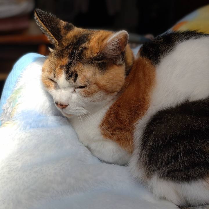 F2f9b7e1 a627 4b8e 95a2 b586f4116da5 1726538495088