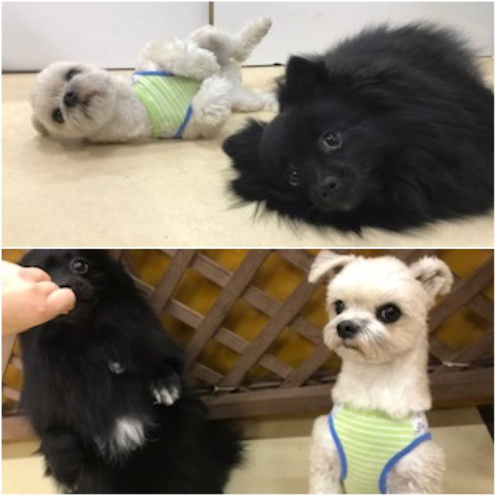 F2f9b89d bb80 40ff 9588 74c05ac2a348 1523962605939