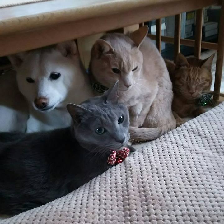 F2f9e792 4f51 48e1 aebc 6669b3767c6a 1518350496801