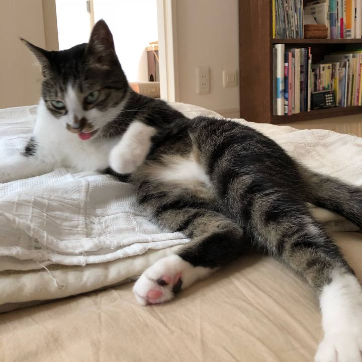 F2fa2e59 e5d9 47fd 8c5d fe01a9faa1b0 1531981202679