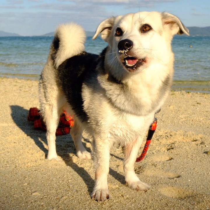 F2fa64a8 11b0 4831 8d93 550fe249e0e6 1576499182864