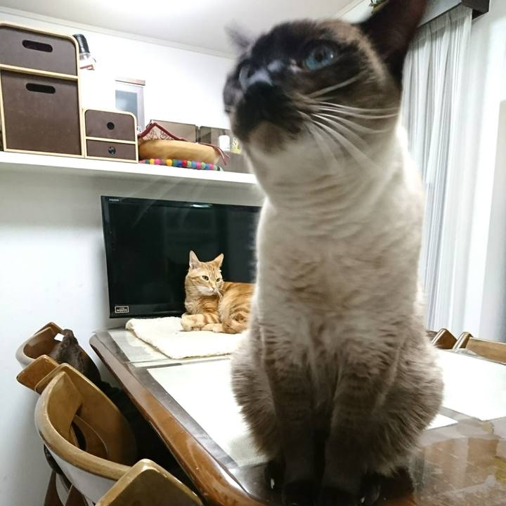 F2fab028 9611 41fe b01e dc5b7a575ba9 1554990391658