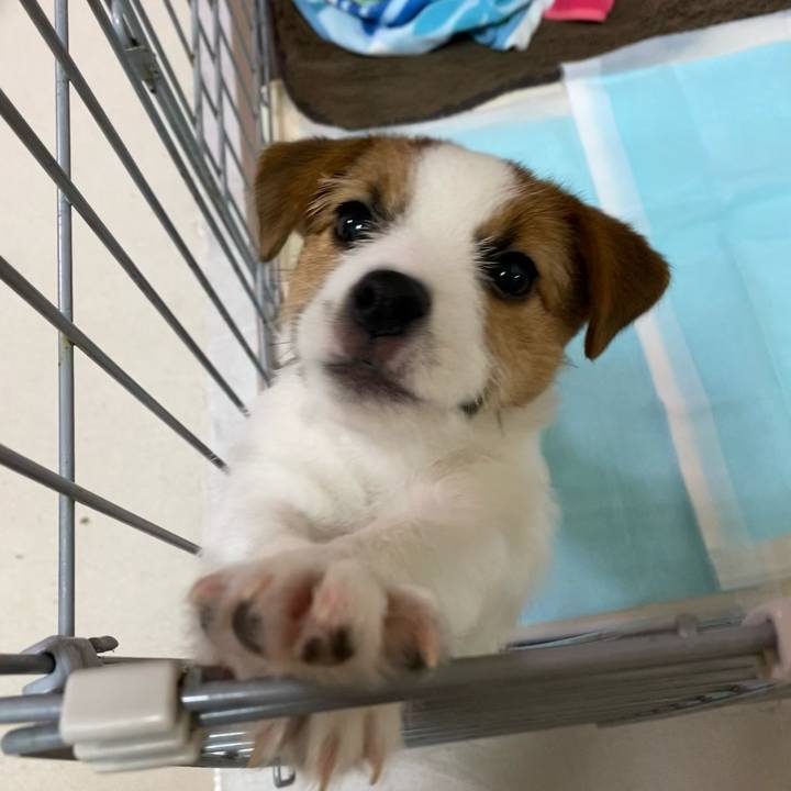 F2facf03 2836 49e8 aa10 8c3a5070afec 1611175497250