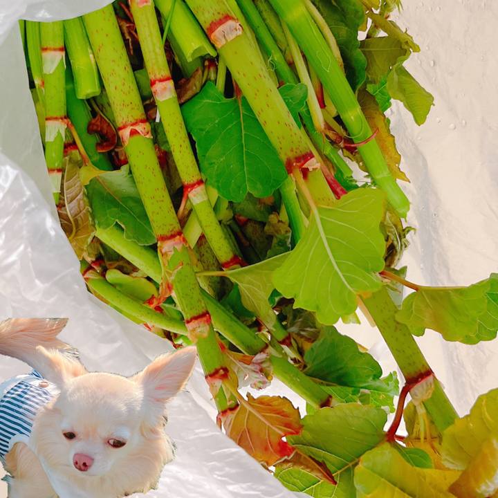 F2fadf20 bb62 4778 8205 fac833a1b923 1649498553868