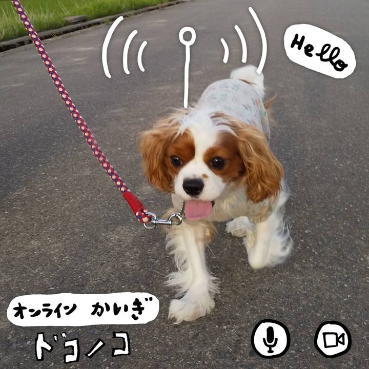 F2fb1a03 abe5 4ab0 a3a0 9204ad7359f1 1590893560233