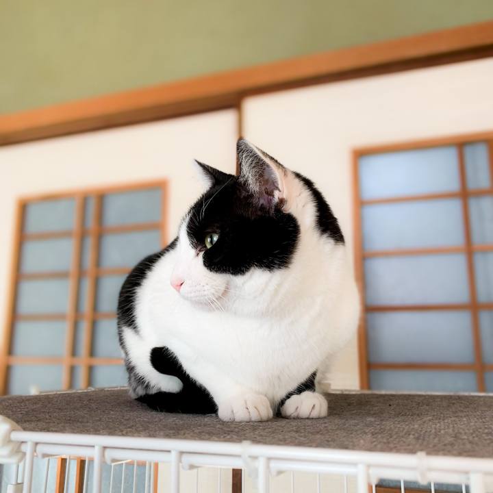 F2fb2033 b0dd 4859 a119 7fc5dbfb6359 1587002862293