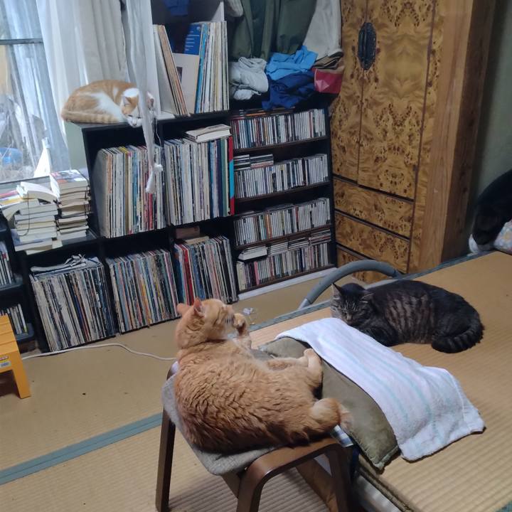 F2fb2dd9 168b 4c9f b651 f46a01100495 1750842708801