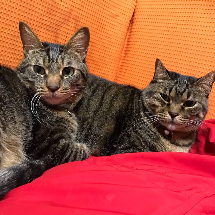 F2fb37d7 10a4 4e2d a696 3b2bbfce5f14 1579628465669