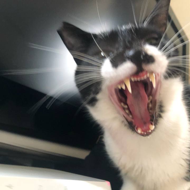 F2fb7021 b0b6 4844 a1ae cf8c07035539 1598717849778