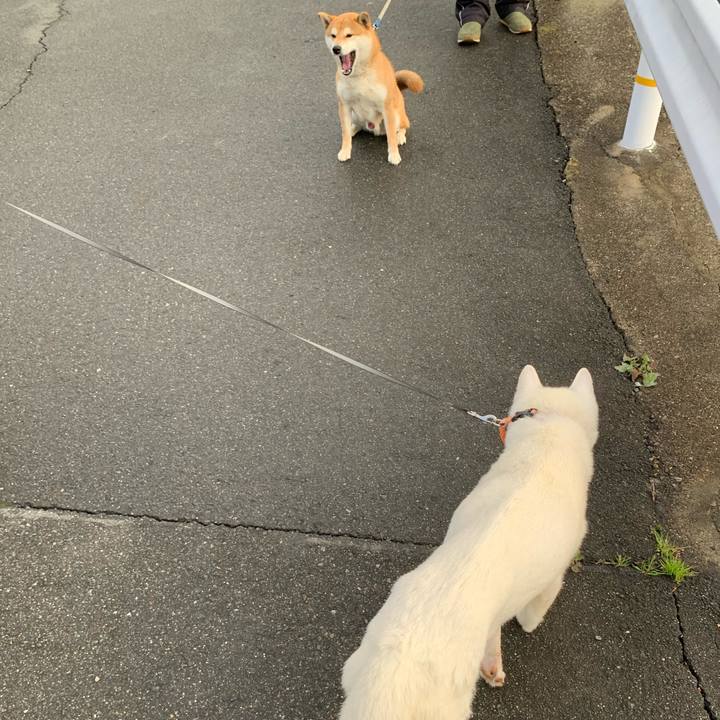 F2fb8e7c 8b56 4fb0 a932 8502b8d2cace 1582373726690