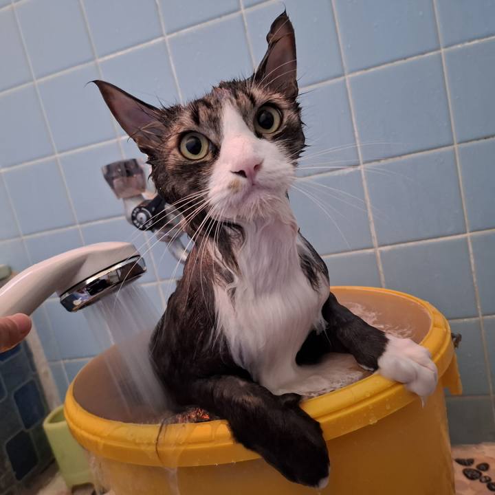 F2fba45c f3dd 4e2c 95b8 8d441398fe8b 1764667338302