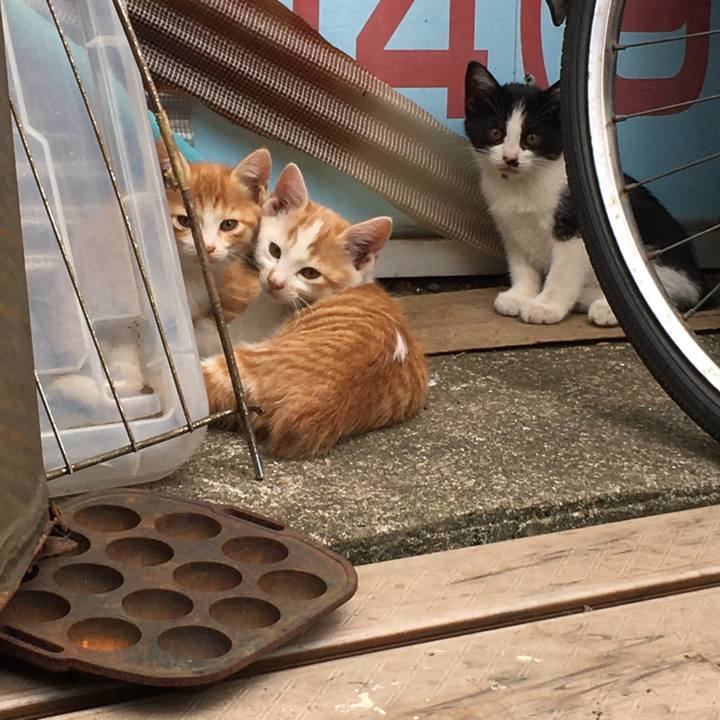 F2fbc20e 7786 4705 a8dc 193d31bf991b 1579750242249