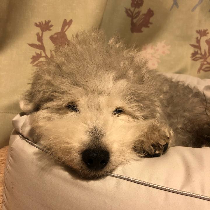 F2fbc7ab 0861 4843 b030 186ac7b939b5 1621687760334