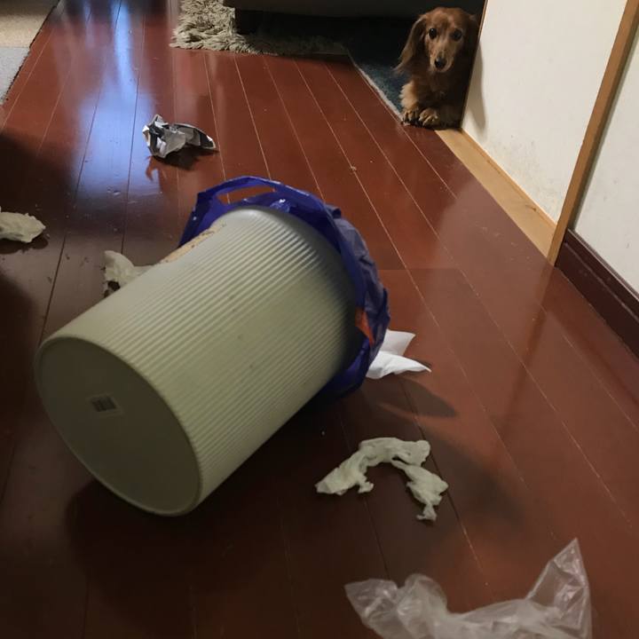 F2fbcbb2 05e7 4eda 9d89 1b3154593a90 1511177311706