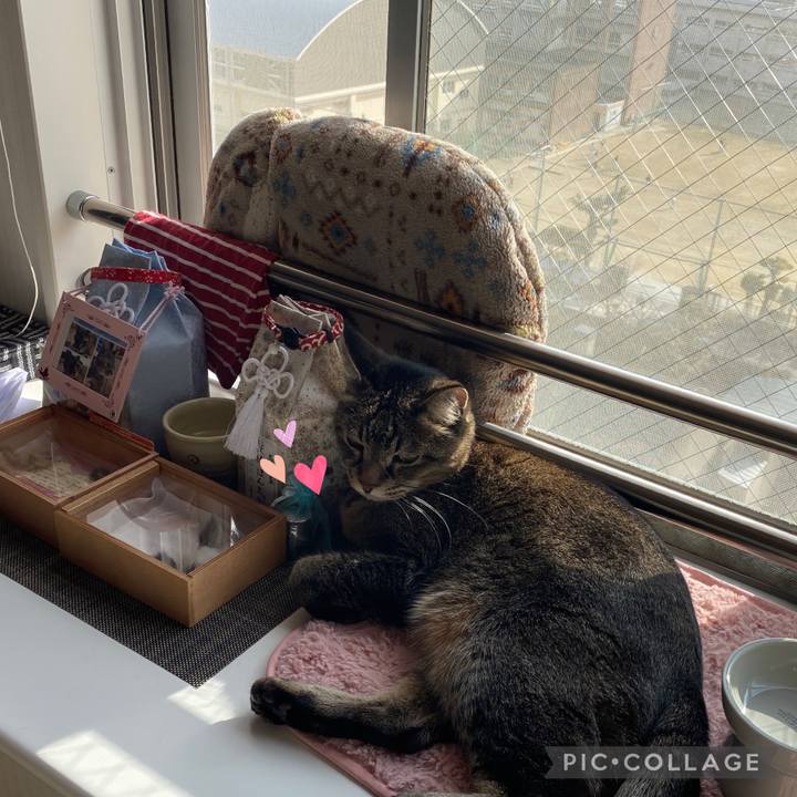 F2fbed69 8e5d 4e7b b2aa 98556b89a2fe 1642226347975