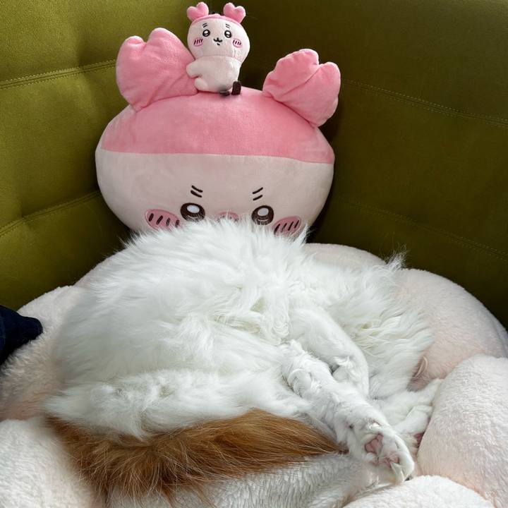 F2fbfa9c 7c35 4f5c a6dd 925b70e22613 1773540160335