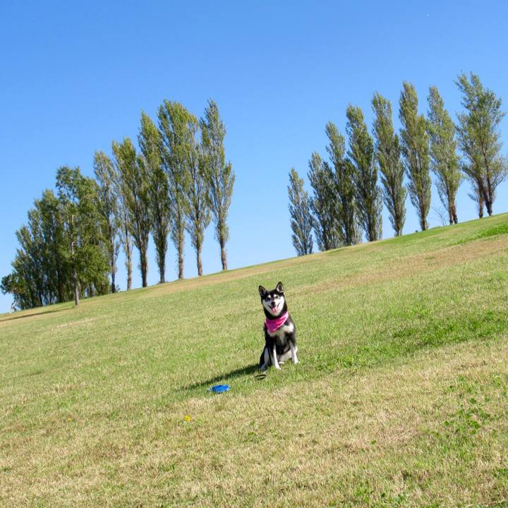 F2fc01d4 5256 44c5 9da7 cab0fa540042 1603853465257