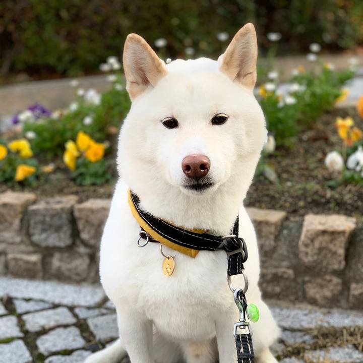 F2fc0ecf 4b2b 4eb3 a94c 8ec2809d8983 1577496619664