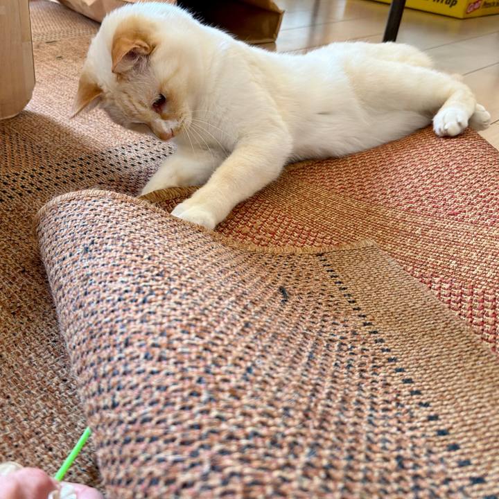 F2fc5d4a aa87 4e41 a9aa c1c6c89c0bb9 1772421322569