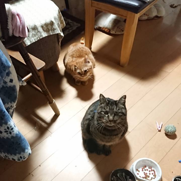 F2fca956 5137 4373 9641 04a8a28a9c10 1643229886241