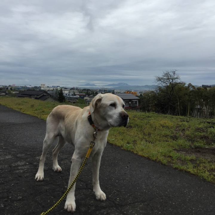 F2fccb66 13a7 4b9c a58a 1730c8905c0a 1524621011405