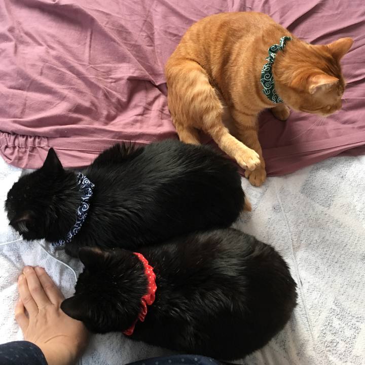 F2fcceab abea 453e bc7a d41809d8360e 1547937943981