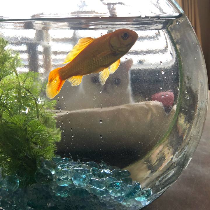 F2fcd2c7 2410 4042 8be3 a80cd19d707f 1592714771043